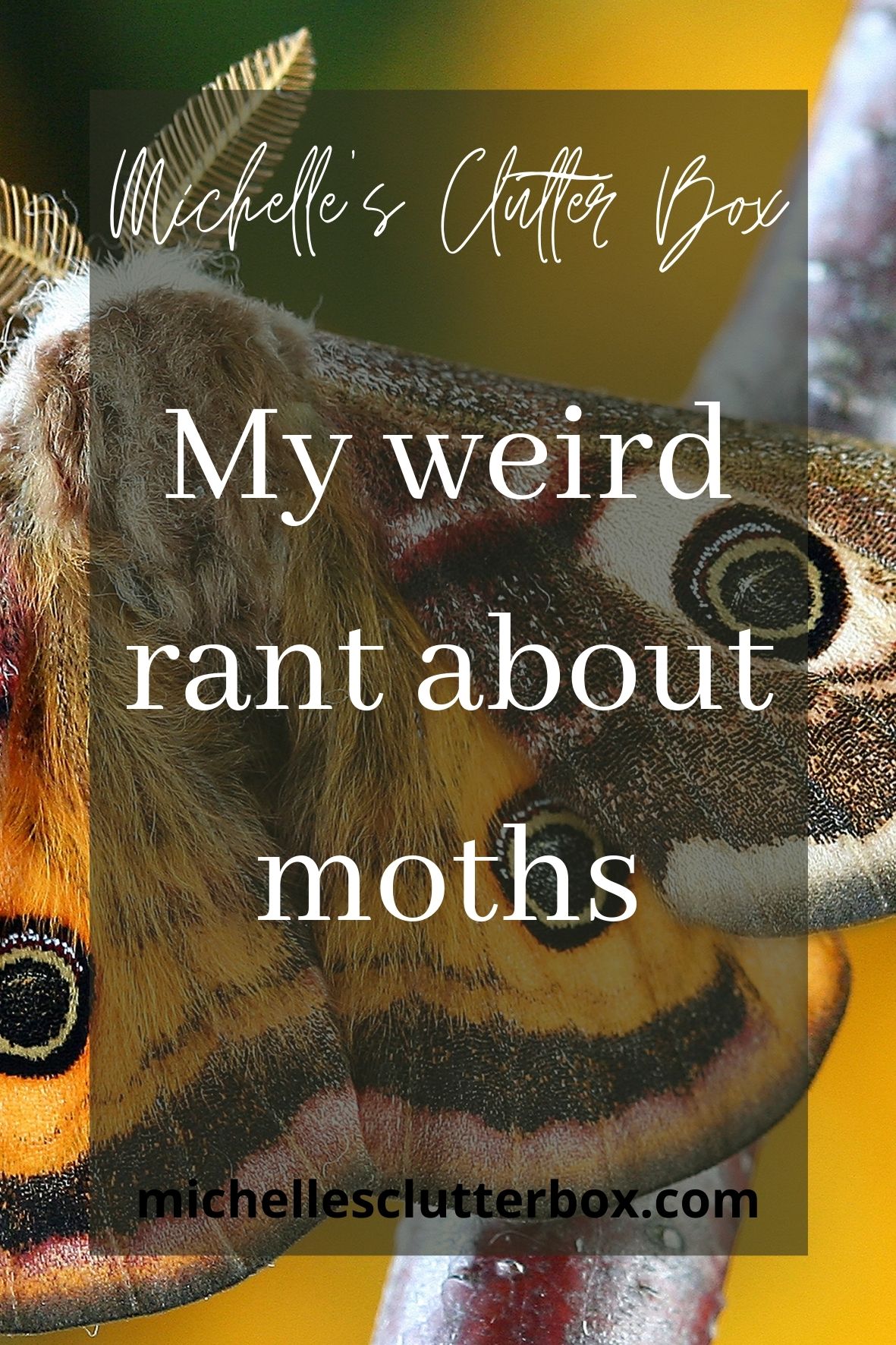 My weird rant about moths